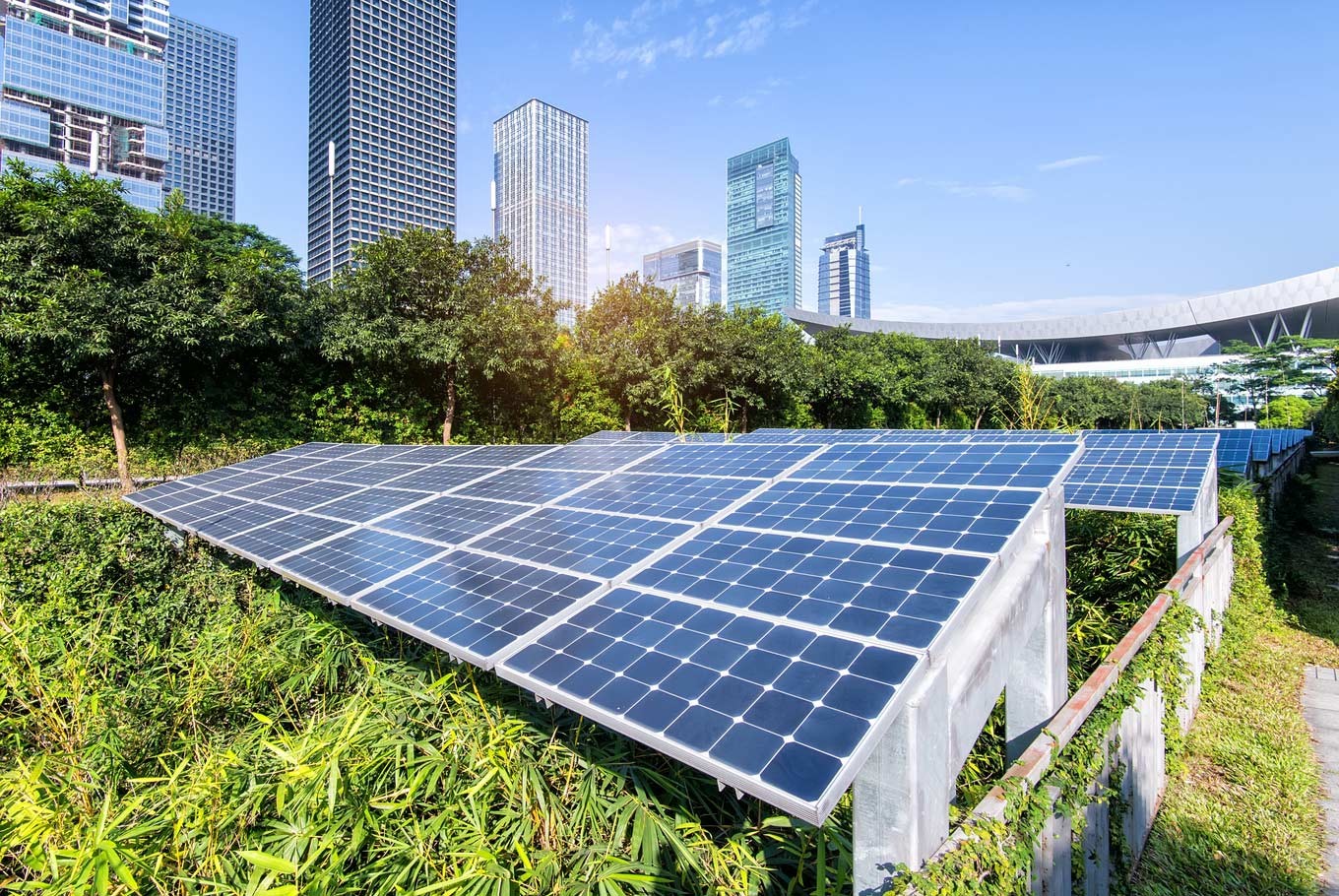 Green Energy Stocks AI Impact Fuels Massive Market Rally