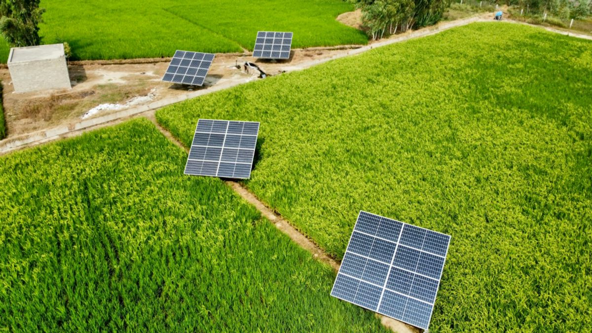 How Renewable Energy Enhances Agricultural Productivity and Sustainability