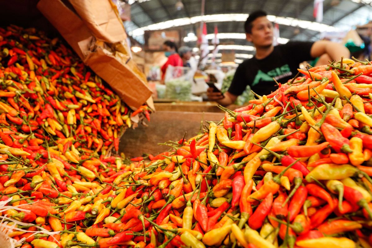 DKI Jakarta Implements Strategies to Combat Soaring Chili Prices