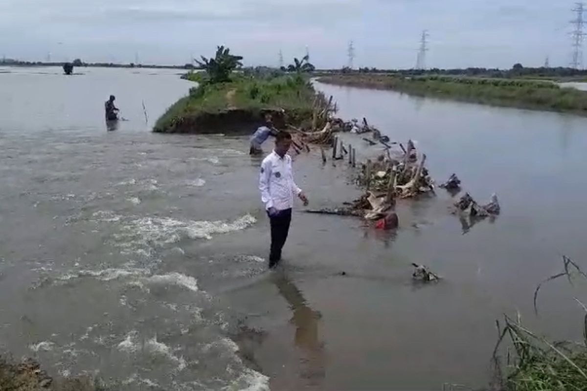 Bekasi Provides 43.8 Tons of Seeds to Flood-Affected Farmers