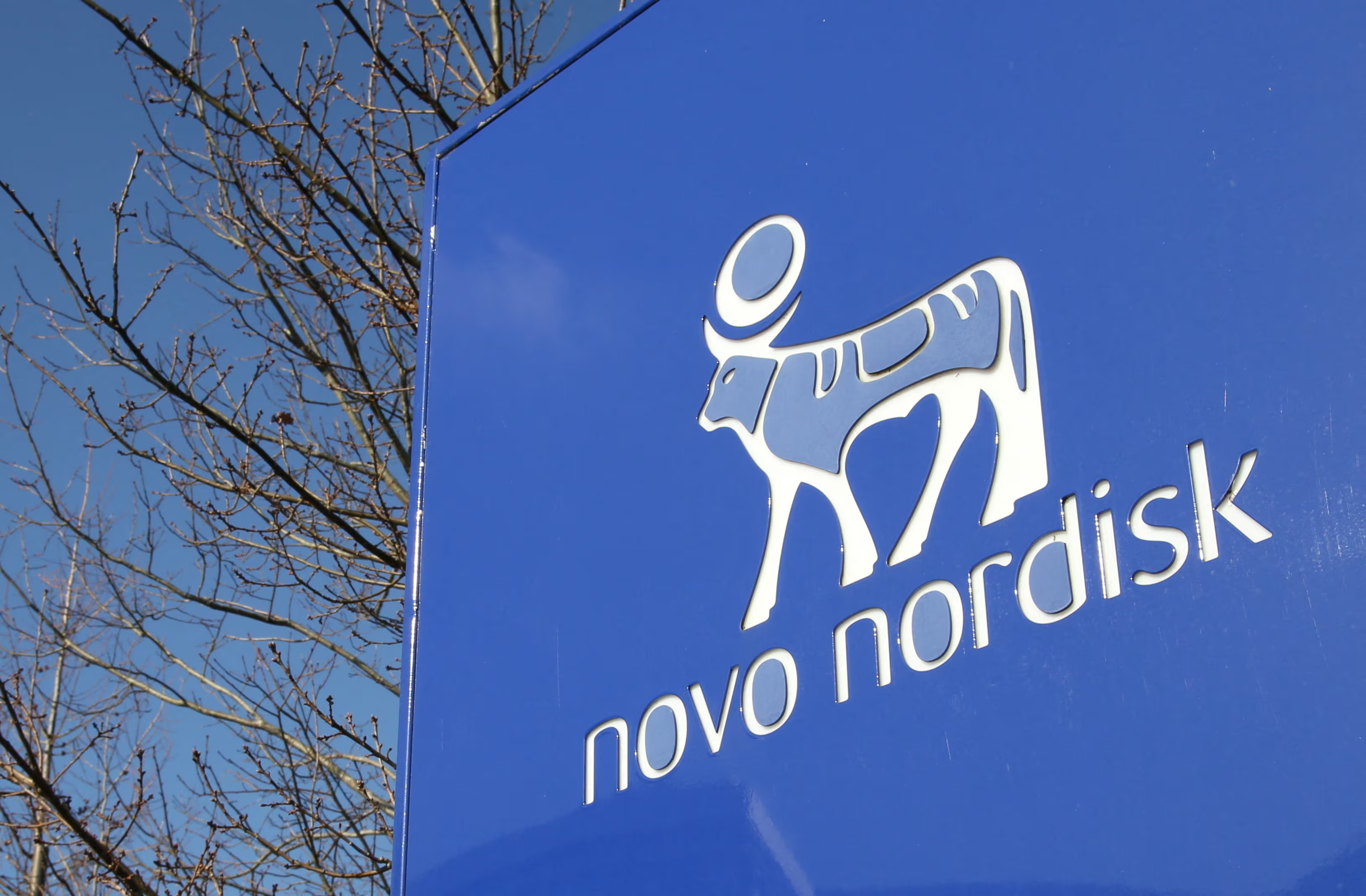 Novo Nordisk Experimental Weight‑Loss Drug Sets Stage for Market Leadership