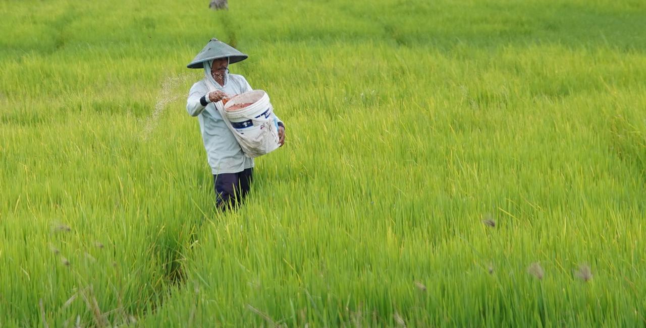 Indonesia Farmer Welfare Shows Strong Gains In December 2025 With Rising NTP Across Provinces