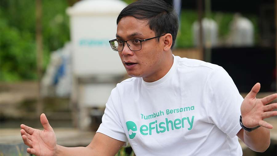 eFishery Faces $600 Million Fraud Allegations: What Happened?