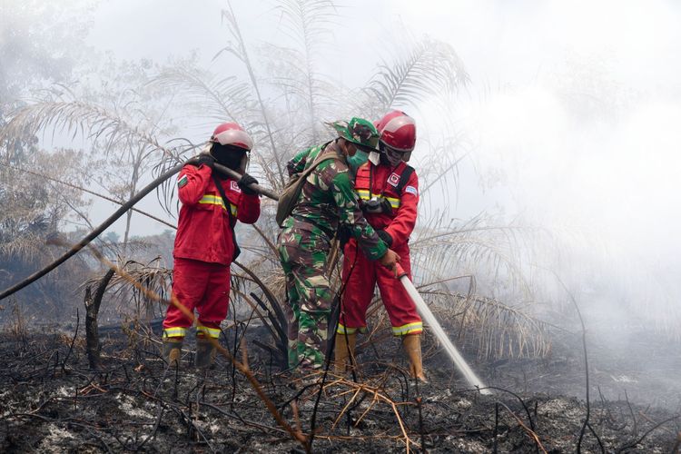Indonesia Forest Fires Threaten Rp50 Trillion in Agricultural Losses