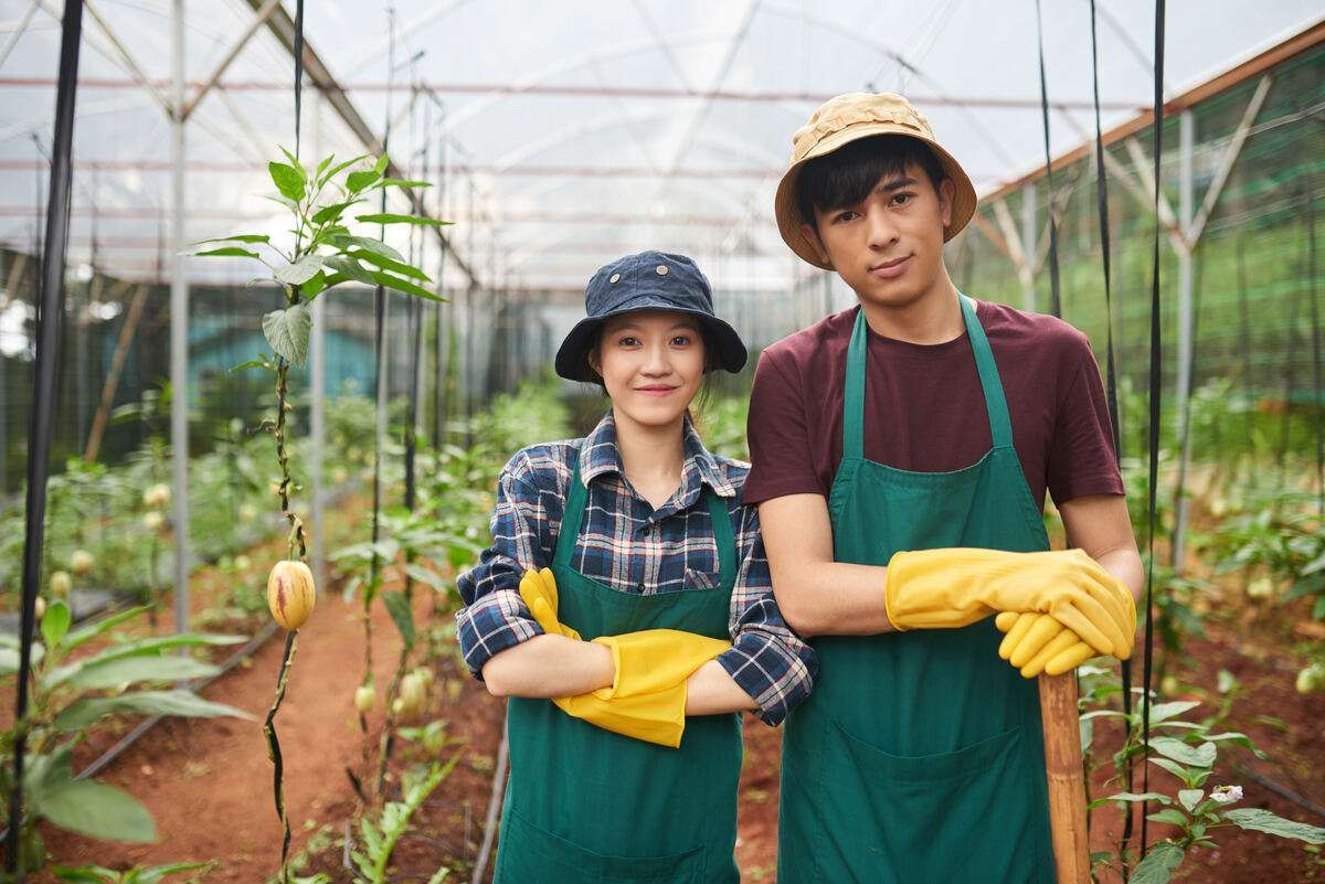 Millennial Farmers Key to Achieving Indonesia's Zero Import Target by 2025