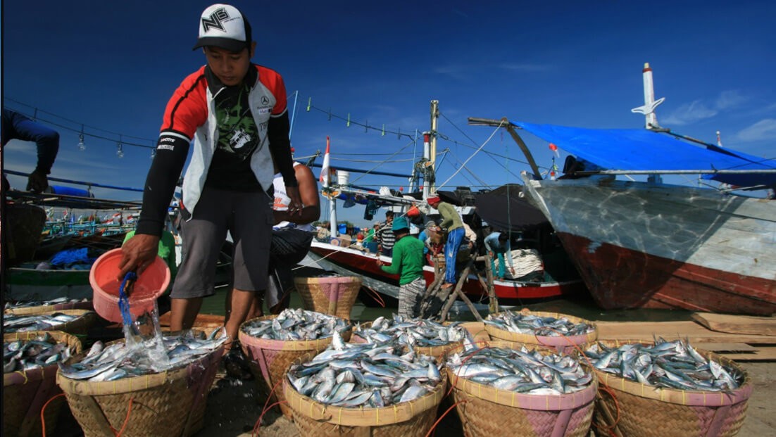 Southeast Sulawesi: A Multinational Agribusiness Fisheries Powerhouse